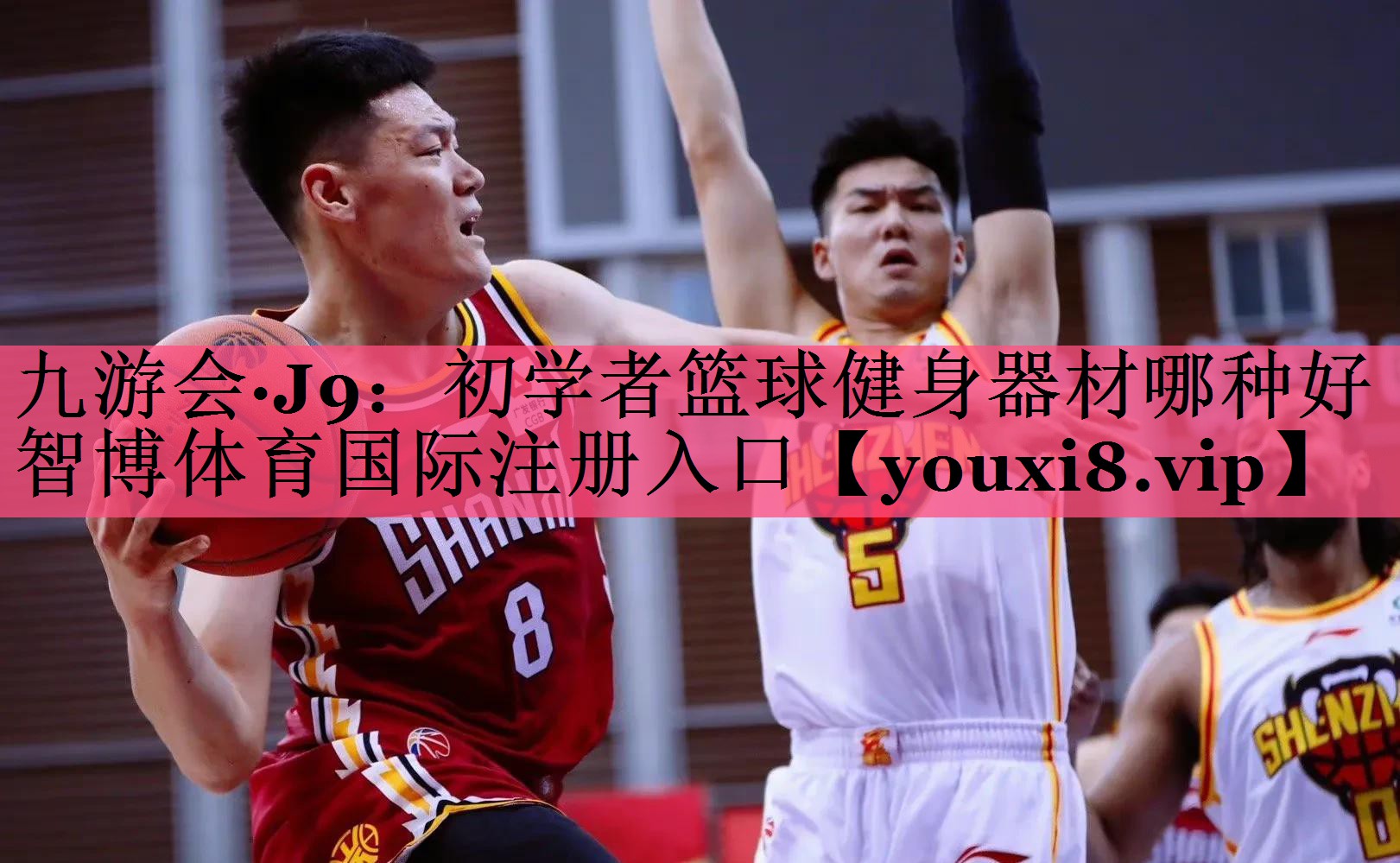 九游会·J9：初学者篮球健身器材哪种好智博体育国际注册入口