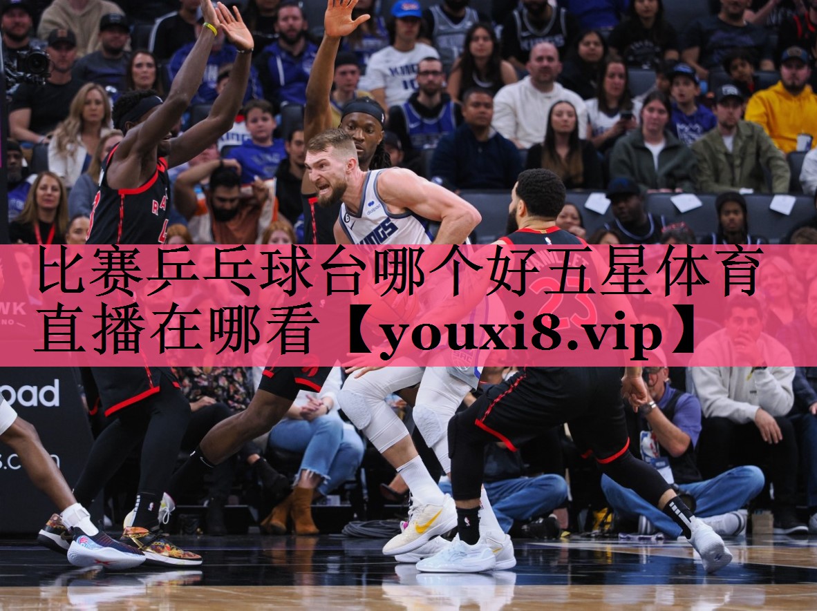 比赛乒乓球台哪个好五星体育直播在哪看