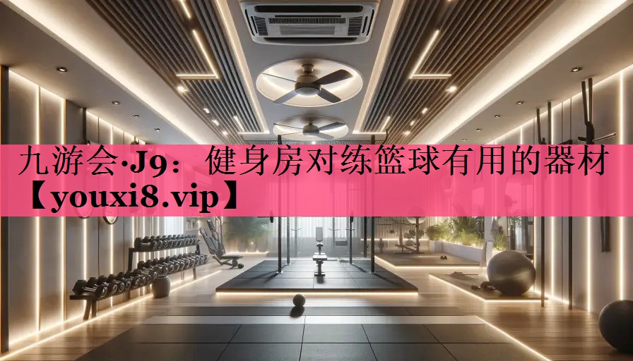 健身房对练篮球有用的器材